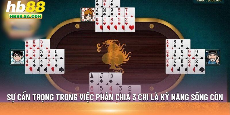 Sự cẩn trọng trong việc phân chia 3 chi 